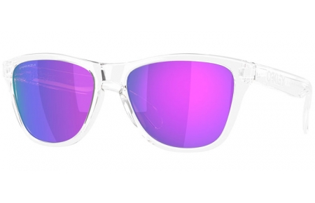 Sunglasses - Oakley - FROGSKINS S OO9508 - 9508-02 POLISHED TRANSPARENT // PRIZM VIOLET