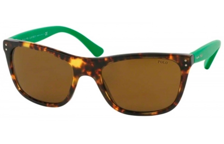Gafas de Sol - POLO Ralph Lauren - PH4071 - 538473 NEW HAVANA JERRY // BROWN