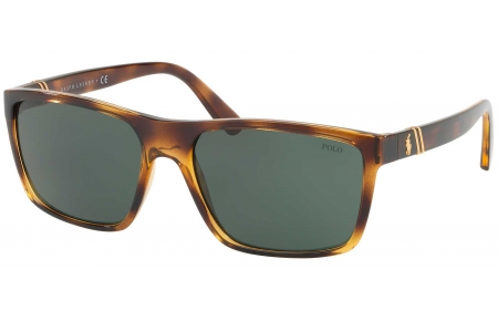 Gafas de Sol - POLO Ralph Lauren - PH4133 - 500371 HAVANA // GREEN