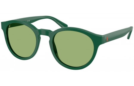 Gafas de Sol - POLO Ralph Lauren - PH4192 - 6141/2 SHINY DARK GREEN // LIGHT GREEN