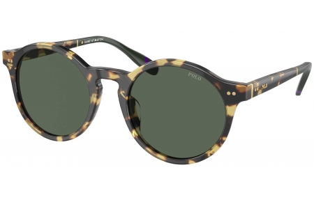 Gafas de Sol - POLO Ralph Lauren - PH4204U - 500471  SHINY TORTOISE BROWN // DARK GREEN