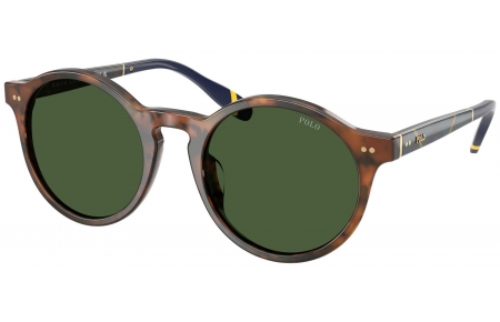 Gafas de Sol - POLO Ralph Lauren - PH4204U - 562571  SHINY BROWN TURTLE // BOTTLE GREEN
