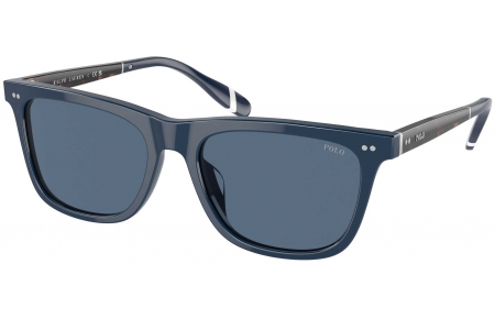 Gafas de Sol - POLO Ralph Lauren - PH4205U - 546580  SHINY NAVY BLUE // BLUE