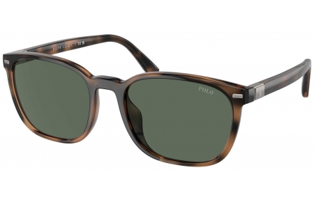 Gafas de Sol - POLO Ralph Lauren - PH4208U - 597471  SHINY HAVANA // GREEN BOTTLE