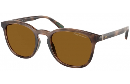 Gafas de Sol - POLO Ralph Lauren - PH4222U - 500383  SHINY DARK HAVANA // DARK BROWN POLARIZED