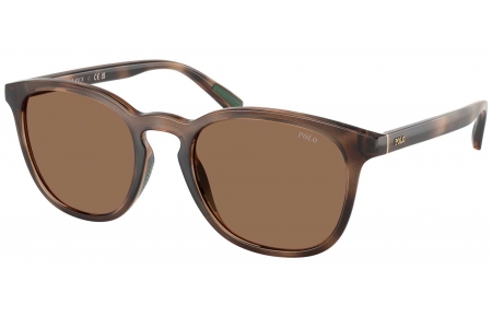 Gafas de Sol - POLO Ralph Lauren - PH4222U - 597473  SHINY DARK HAVANA // DARK BROWN
