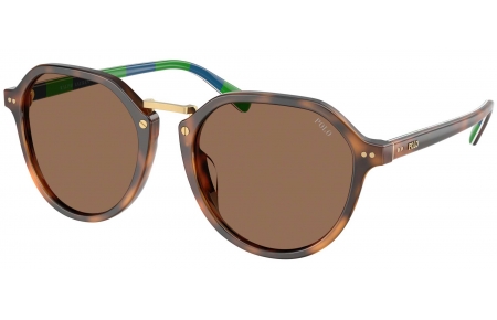 Gafas de Sol - POLO Ralph Lauren - PH4223U - 608973  SHINY HAVANA RED // DARK BROWN