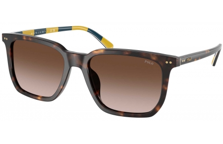 Gafas de Sol - POLO Ralph Lauren - PH4224U - 500313  SHINY DARK HAVANA // DARK BROWN GRADIENT