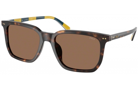Gafas de Sol - POLO Ralph Lauren - PH4224U - 500373  SHINY DARK HAVANA // DARK BROWN