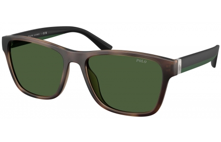 Gafas de Sol - POLO Ralph Lauren - PH4229U - 607071  MATTE DARK HAVANA // GREEN BOTTLE
