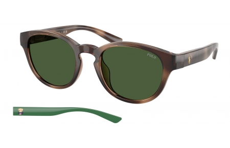 Gafas de Sol - POLO Ralph Lauren - PH4233U - 607071  DARK HAVANA // BOTTLE GREEN