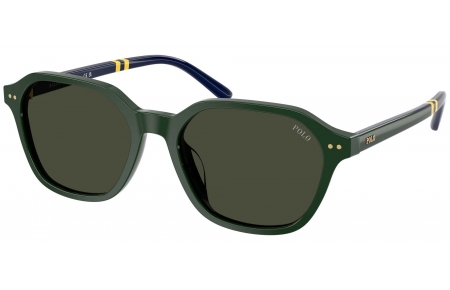 Gafas de Sol - POLO Ralph Lauren - PH4234U - 614082  GREEN // BROWN