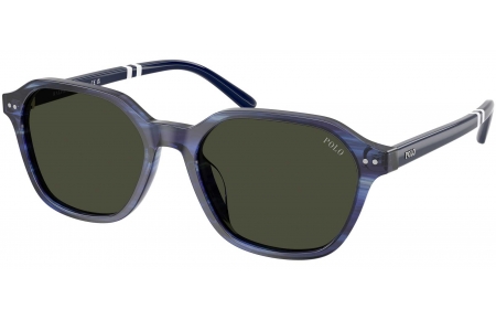Gafas de Sol - POLO Ralph Lauren - PH4234U - 631487  STRIPED BLUE // DARK GREY