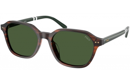 Gafas de Sol - POLO Ralph Lauren - PH4234U - 631571  STRIPED BROWN // BOTTLE GREEN