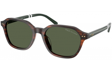 Gafas de Sol - POLO Ralph Lauren - PH4234U - 63159A  STRIPED BROWN // GREEN POLARIZED
