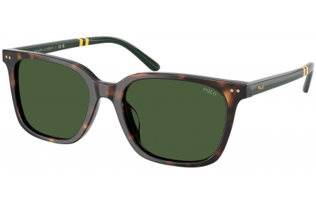 Gafas de Sol - POLO Ralph Lauren - PH4235U - 500371  DARK HAVANA // BOTTLE GREEN