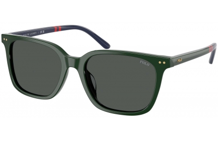 Gafas de Sol - POLO Ralph Lauren - PH4235U - 614087  GREEN // DARK GREY