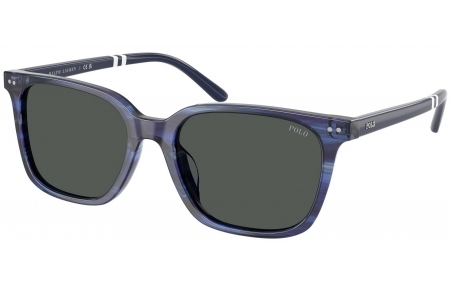 Gafas de Sol - POLO Ralph Lauren - PH4235U - 631487  STRIPED BLUE // DARK GREY