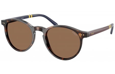 Gafas de Sol - POLO Ralph Lauren - PH4236 - 500373  DARK HAVANA // BROWN