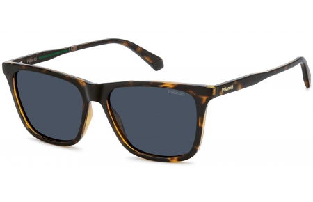 Gafas de Sol - Polaroid - PLD 4190/S - 086 (C3) HAVANA // BLUE POLARIZED
