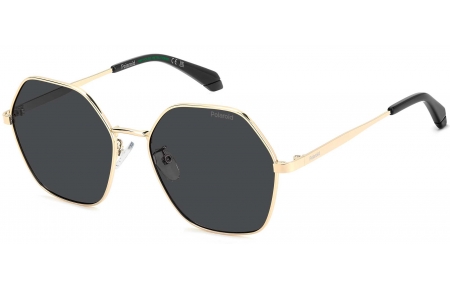 Gafas de Sol - Polaroid - PLD 4205/G/S/X - 2F7 (M9) ANTIQUE GOLD GREY // GREY POLARIZED