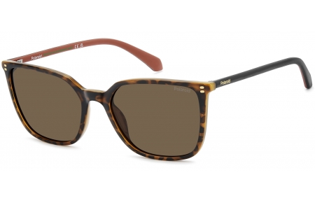 Gafas de Sol - Polaroid - PLD 4209/S/X - 086 (SP) HAVANA // BRONZE POLARIZED