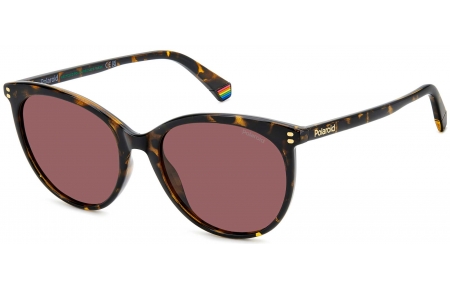 Gafas de Sol - Polaroid - PLD 6231/S - 086 (KL) DARK HAVANA // VIOLET POLARIZED