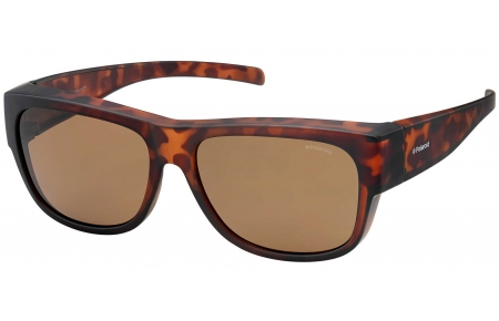 Gafas de Sol - Polaroid Ancillaries - PLD 9003/S - MQU (IG) TRANSPARENT HAVANA // BROWN POLARIZED