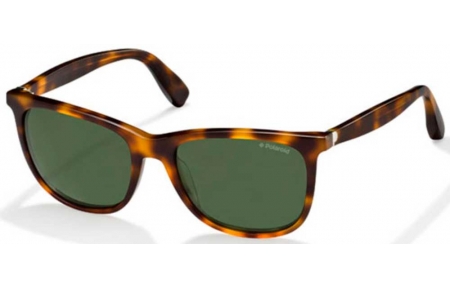 Gafas de Sol - Polaroid - PLP 0103 - BGJ (0P) HAVANA // GREEN ANTIRREFLECTION POLARIZED