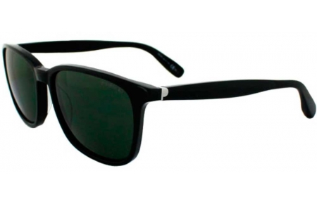 Gafas de Sol - Polaroid - PLP 0104 - 807 (OP) HAVANA // GREEN POLARIZED
