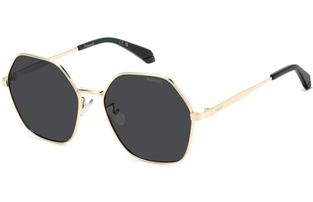 Gafas de Sol - Polaroid - PLD 4205/G/S/X - 2F7 (M9) ANTIQUE GOLD GREY // GREY POLARIZED