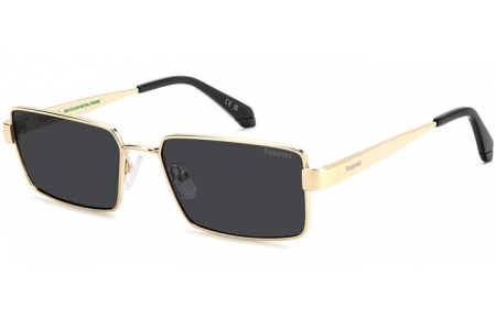 Gafas de Sol - Polaroid - PLD 6255/S/X - 2F7 (M9) ANTIQUE GOLD GREY // GREY POLARIZED