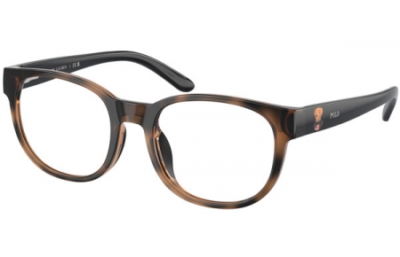 Frames Junior - POLO Ralph Lauren Junior - PP8549U - 5003 SHINY DARK HAVANA