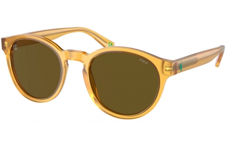 Sunglasses - POLO Ralph Lauren - PH4192 - 500573  SHINY HONEY OPAL // DARK BROWN OLIVE