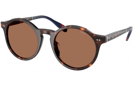 Lunettes de soleil - POLO Ralph Lauren - PH4204U - 567373  DARK HAVANA // DARK BROWN
