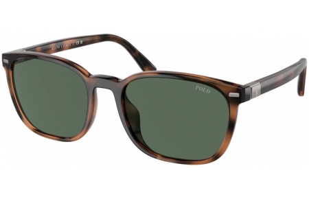 Sunglasses - POLO Ralph Lauren - PH4208U - 597471  SHINY HAVANA // GREEN BOTTLE