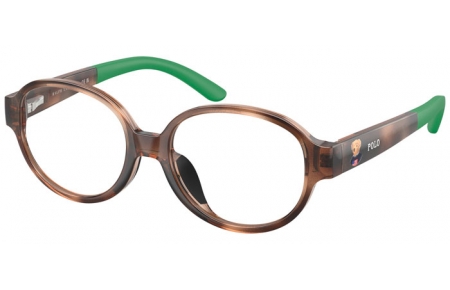 Gafas Junior - POLO Ralph Lauren Junior - PP8552U - 5003  SHINY HAVANA