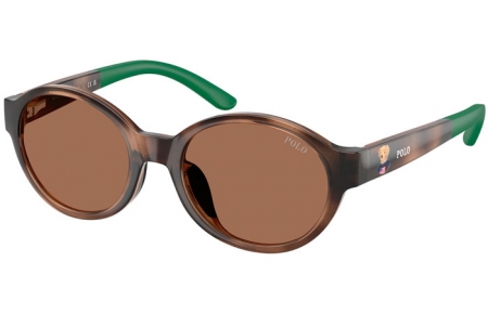 Gafas Junior - POLO Ralph Lauren Junior - PP9510U - 500373  SHINY DARK HAVANA // BROWN