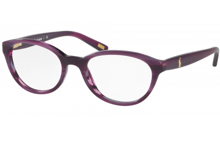 Gafas Junior - POLO Ralph Lauren Junior - PP8526 - 1592 PURPLE HORN
