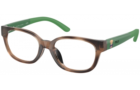 Gafas Junior - POLO Ralph Lauren Junior - PP8551U - 5974  SHINY DARK HAVANA