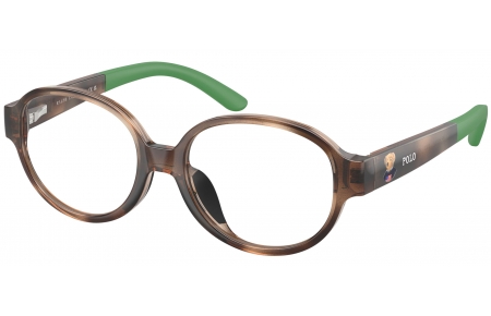 Gafas Junior - POLO Ralph Lauren Junior - PP8552U - 5003  SHINY HAVANA