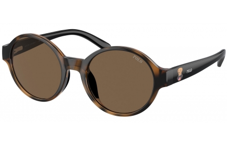 Gafas Junior - POLO Ralph Lauren Junior - PP9508U - 500373  SHINY DARK HAVANA // BROWN