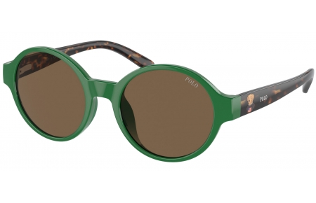 Gafas Junior - POLO Ralph Lauren Junior - PP9508U - 619273  SHINY GREEN // BROWN