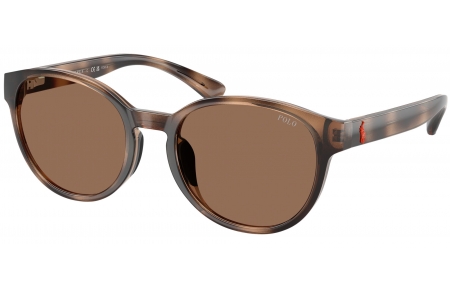 Gafas Junior - POLO Ralph Lauren Junior - PP9509U - 597473  SHINY DARK HAVANA // DARK BROWN