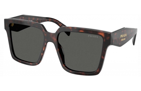 Gafas de Sol - Prada - SPR 24ZS - 17N40L  TORTOISE ROOT // DARK GREY