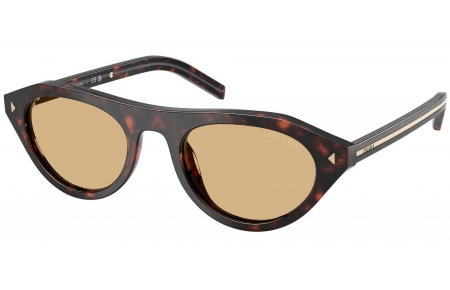Gafas de Sol - Prada - SPR B15S - 17N70R  TORTOISE ROOT // LIGHT BROWN