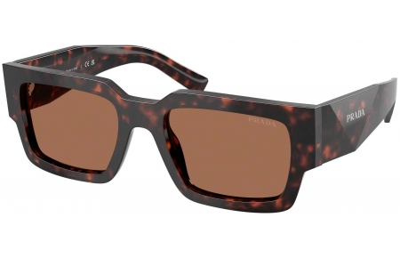 Gafas de Sol - Prada - SPR B17S - 17N06B  TORTOISE ROOT // DARK BROWN