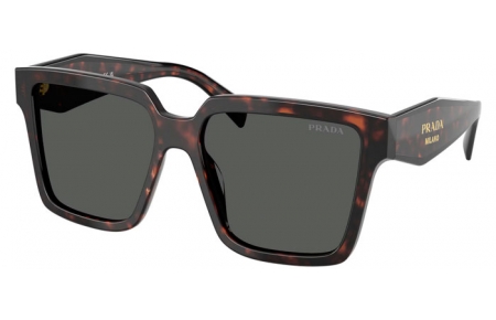 Sunglasses - Prada - SPR 24ZS - 17N40L  TORTOISE ROOT // DARK GREY