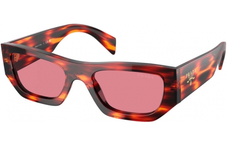 Sunglasses - Prada - SPR A01S - 13O80B  HAVANA RED // DARK PINK
