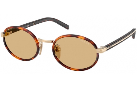 Gafas de Sol - Prada - SPR B56S - 21E10R  ROOT TORTOISE // ORGANIC CHAMOMILE